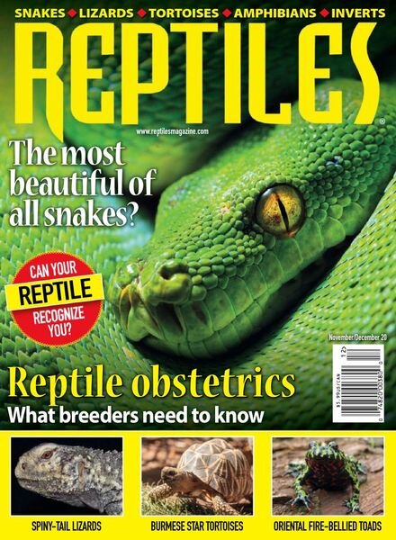 Reptiles – November-December 2020 Cover