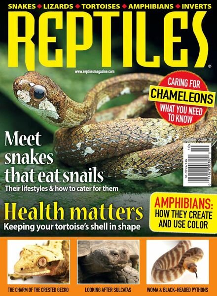 Reptiles – September-October 2020 Cover