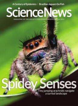 Science News – 6 November 2021