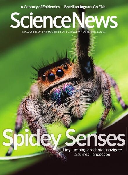 Science News – 6 November 2021 Cover