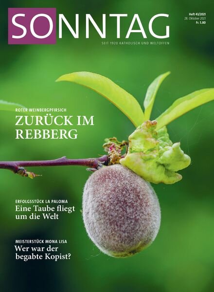 Sonntag – 28 Oktober 2021 Cover