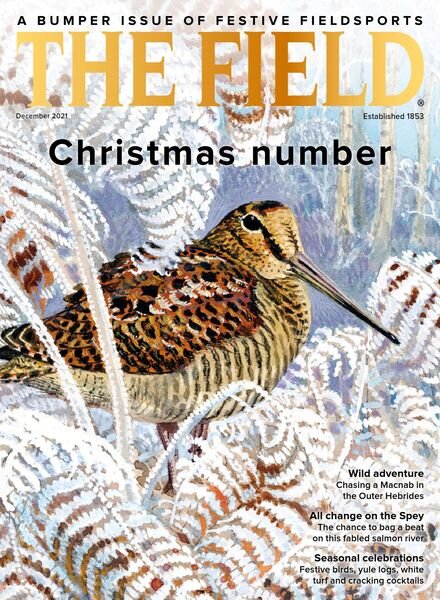 The Field – December 2021 Cover