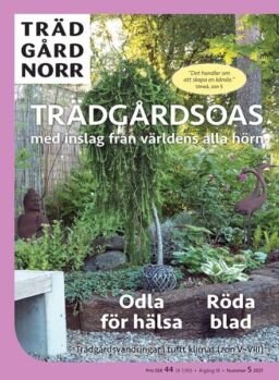 Tradgard Norr – 29 oktober 2021
