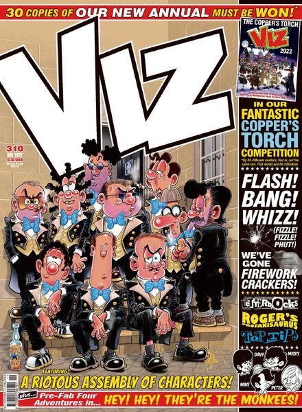 Viz – November 2021 Cover