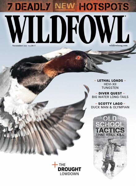 Wildfowl – November 2021 Cover