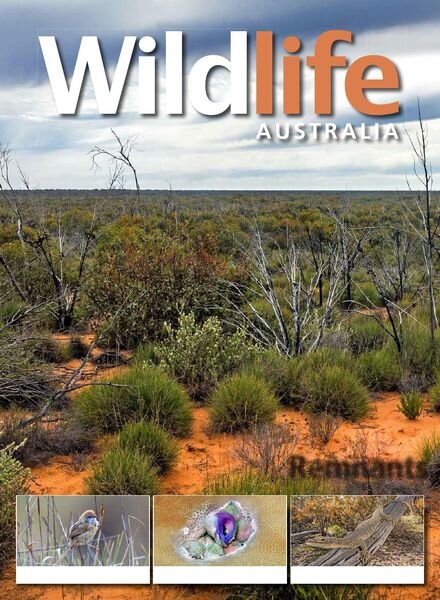 Wildlife Australia – Volume 56 N 1 – Autumn 2019 Cover
