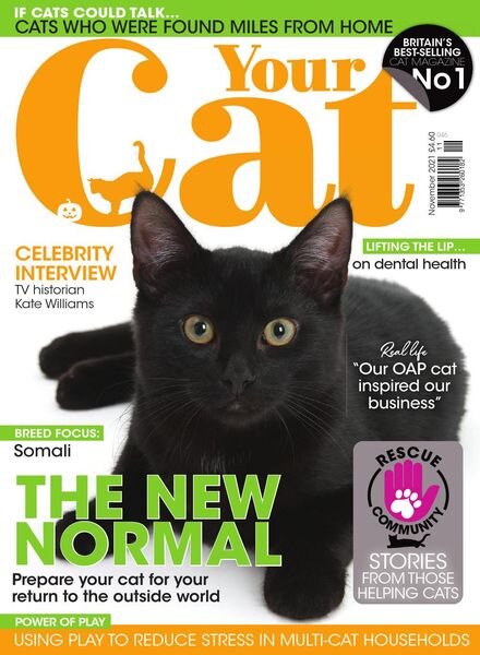 Your Cat – November 2021 Cover