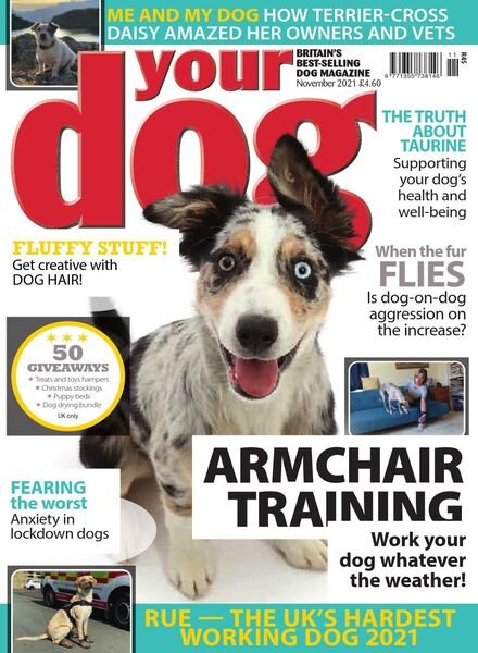 Your Dog – November 2021 Cover