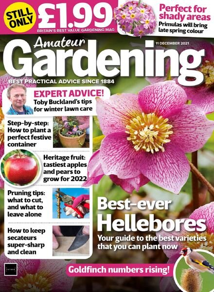 Amateur Gardening – 11 December 2021 Cover