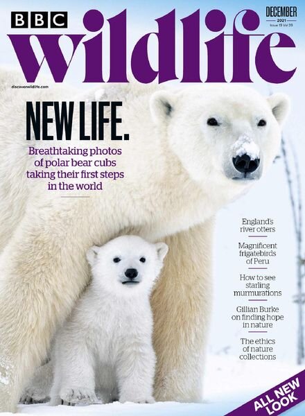 BBC Wildlife – December 2021 Cover