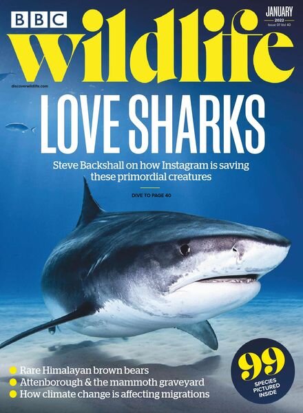 BBC Wildlife – January 2022 Cover