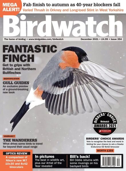 Birdwatch UK – December 2021 Cover