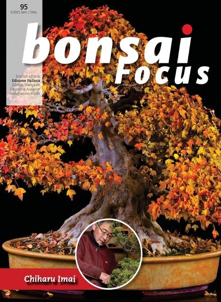 Bonsai Focus (Edizione Italiana) – Settembre-Ottobre 2021 Cover