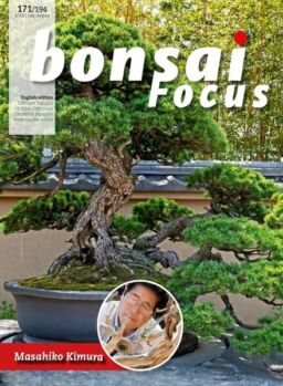 Bonsai Focus (English Edition) – July-August 2021