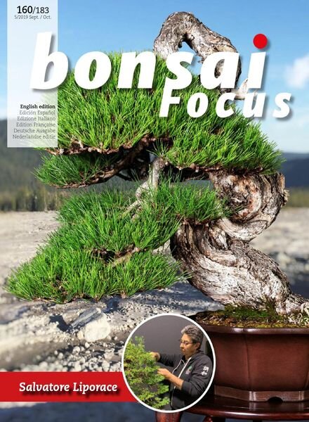 Bonsai Focus (English Edition) – September-October 2019 Cover