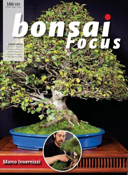 Bonsai Focus (English Edition) – September-October 2020 Cover