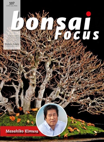 Bonsai Focus (German Edition) – Januar-Februar 2021 Cover