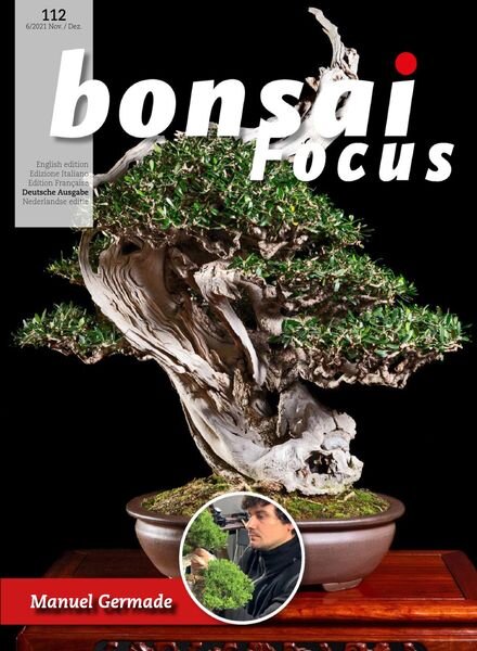 Bonsai Focus (German Edition) – November-Dezember 2021 Cover