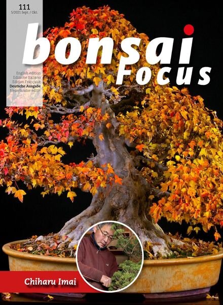 Bonsai Focus (German Edition) – September-Oktober 2021 Cover