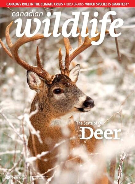 Canadian Wildlife – November-December 2020 Cover