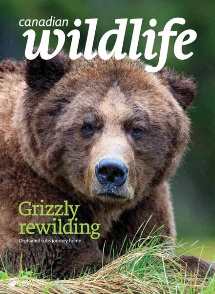Canadian Wildlife – November-December 2021 Cover