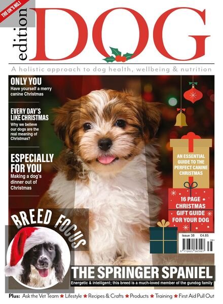 Edition Dog – Issue 38 – November 2021 Cover