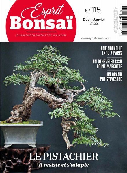 Esprit Bonsai – decembre 2021 Cover