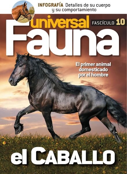 Fauna Universal – diciembre 2021 Cover