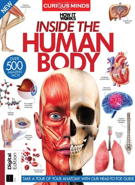 How It Works Curious Minds – December 2021 Cover