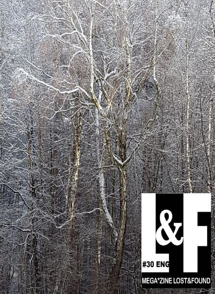 MegaZine Lost&Found – N 30 2021 Cover
