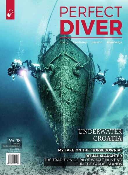 Perfect Diver – November-December 2021 Cover