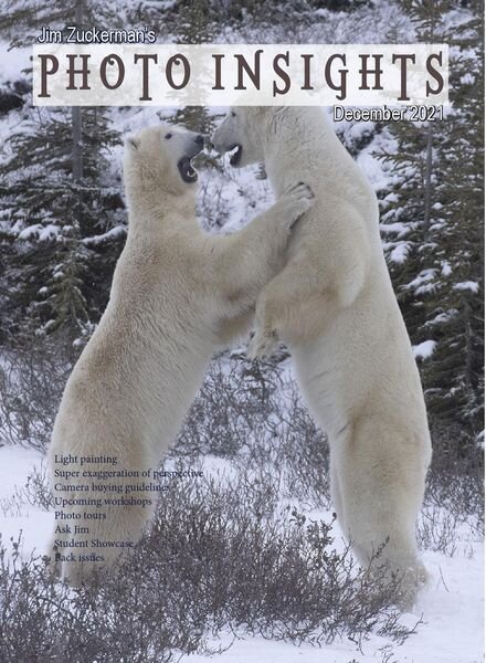 Photo Insights – December 2021 Cover