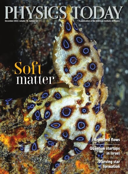 Physics Today – December 2021 Cover