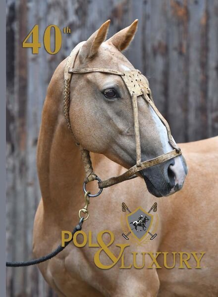 Polo & Luxury – December 2021 Cover