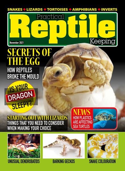 Practical Reptile Keeping – November 2021 Cover