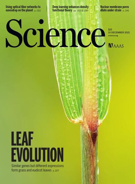 Science – 10 December 2021 Cover