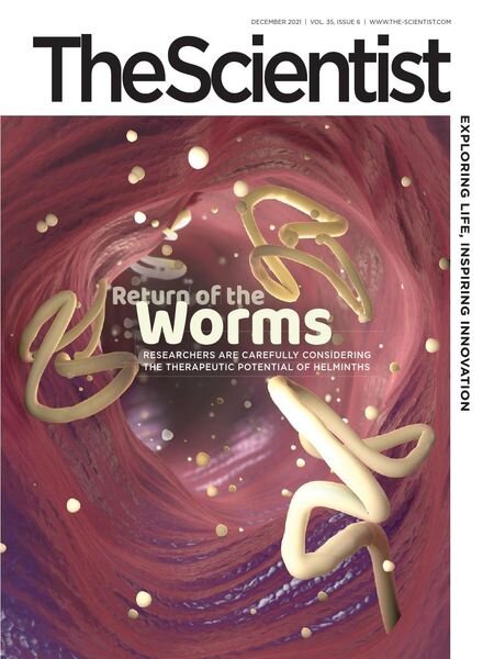The Scientist – December 2021 Cover