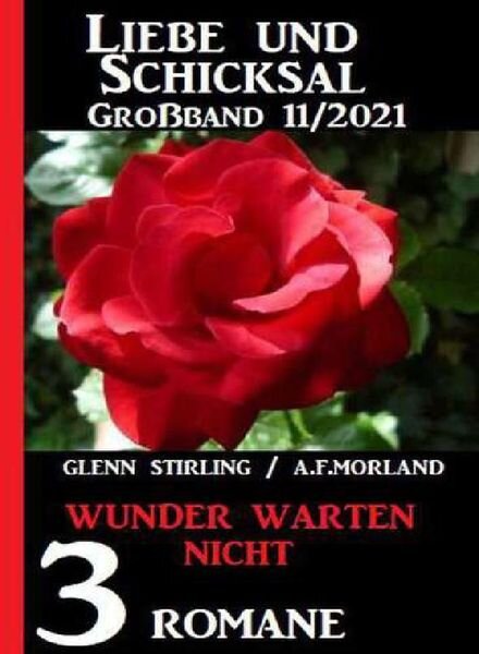 Uksak Liebe & Schicksal Grossband – Nr11 2021 Cover