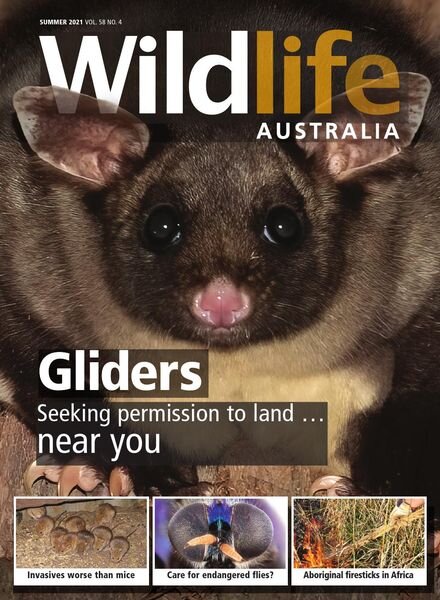 Wildlife Australia – Volume 58 N 4 – Summer 2021 Cover