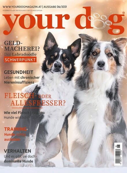 Your Dog Germany – Dezember 2021 Cover