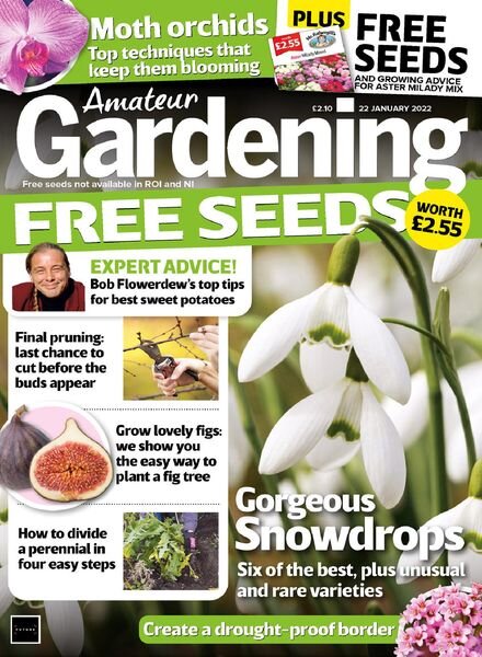 Amateur Gardening – 22 January 2022 Cover