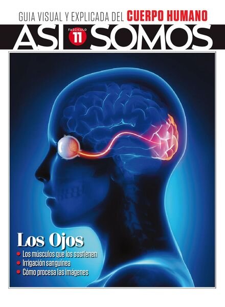 Asi Somos – El cuerpo humano – marzo 2022 Cover