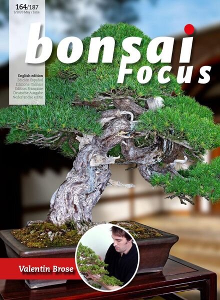 Bonsai Focus (English Edition) – May-June 2020 Cover