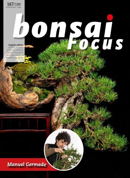 Bonsai Focus (English Edition) – November-December 2020 Cover