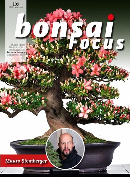 Bonsai Focus (German Edition) – Mai-Juni 2021 Cover
