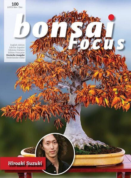 Bonsai Focus (German Edition) – November-Dezember 2019 Cover