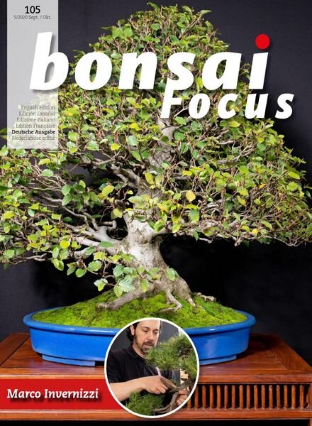 Bonsai Focus (German Edition) – September-Oktober 2020 Cover