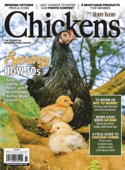 Chickens – March-April 2022
