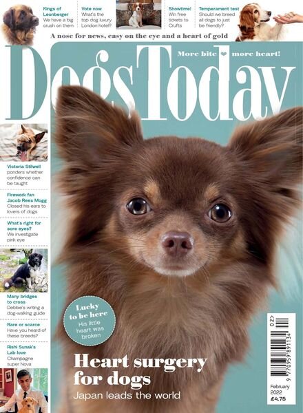 Dogs Today UK – February 2022 Cover