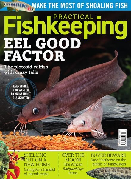 Practical Fishkeeping – February 2022 Cover
